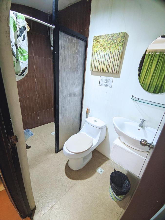 Infinite Green Pension プエルト・プリンセサ エクステリア 写真